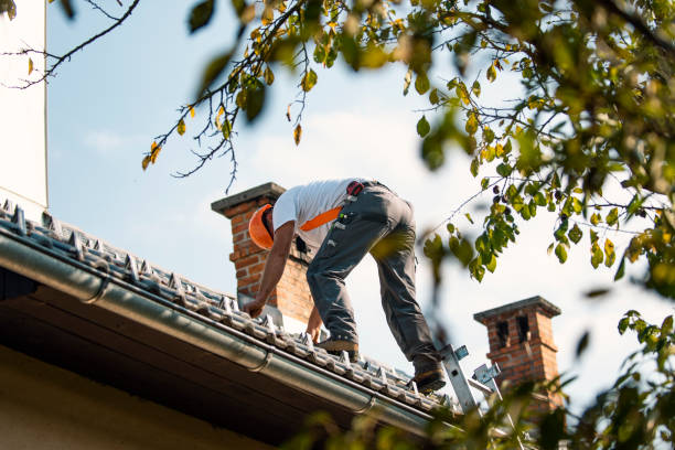 Best Metal Roofing Contractor  in Shenandoah, IA