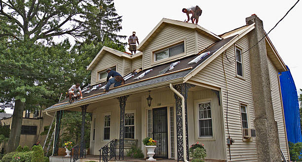 Best Gutter Installation and Roofing  in Shenandoah, IA