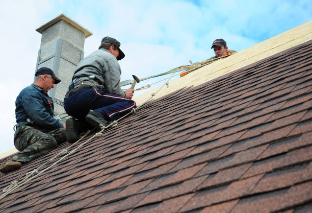 Quick and Trustworthy Emergency Roof Repair Services in Shenandoah, IA